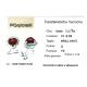 Orecchini rubini cuore 6 x 5 ct 2,29  e diamanti